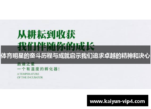 体育明星的奋斗历程与成就启示我们追求卓越的精神和决心